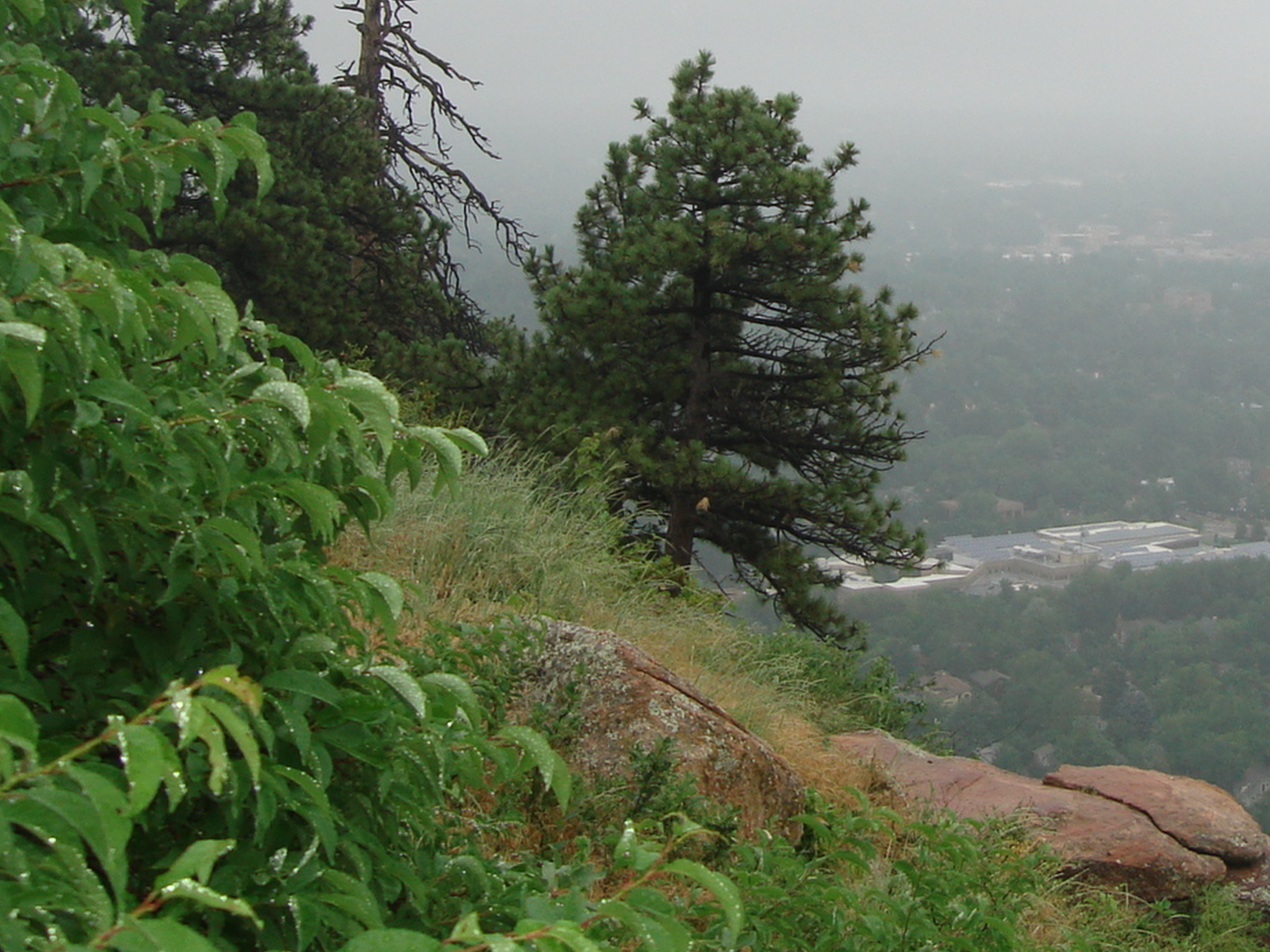 Above Boulder on Flagstaff Mountain